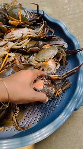 643K views · 12K reactions | Blog-442 আসসালামু আলাইকুম। কাকড়া খেতে কে কে পছন্দ করেন।আমার কিন্তূ কাকড়া খেতে খুবই ভালো লাগে। #fypシ゚viralシfypシ゚ #followerseveryone #foryouシpage #tumpalifestyle #dailyblogging #vairalvideoシ | Tumpa Lifestyle | Facebook