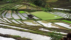 Two foreigners, including Australian woman, killed in Bali landslide