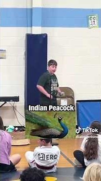 This Kid Sounds Exactly Like These Birds 😳