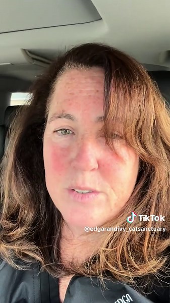 The Dangers of Declawing Cats: Why Claws Are Essential