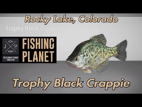Trophy Black Crappie Rocky Lake Colorado Fishing Planet Guide