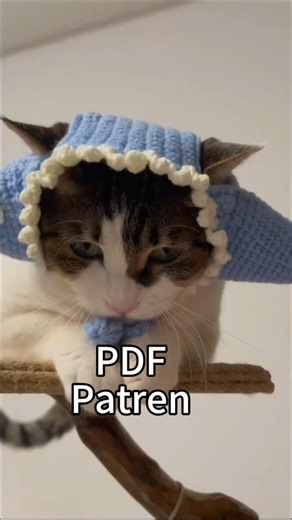 Crocheted Fish Hat Pattern (PDF) Download Now
