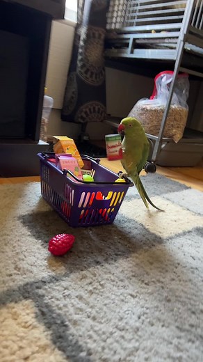 Ruby and friends (@rilee_b05)’s videos with VeggieTales Theme Song - VeggieTales