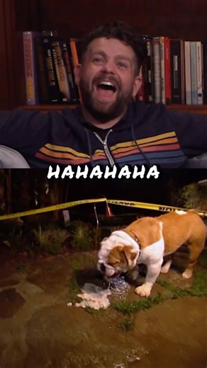 613 reactions · 22 comments | Lola’s vomit bomb – didn’t see that coming! For a nicer surprise, use ‘OSBOURNES25’ for 25% off your first month at osbournemediahouse.com! Dive into our new show, The Basement Tapes, and unlock exclusive shows, merch, and so much more! But be quick, this offer only lasts one week! | Jack Osbourne | Facebook