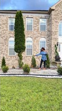 Flower bed makeover from start to finish #entrywayideas #courtyardrenovation