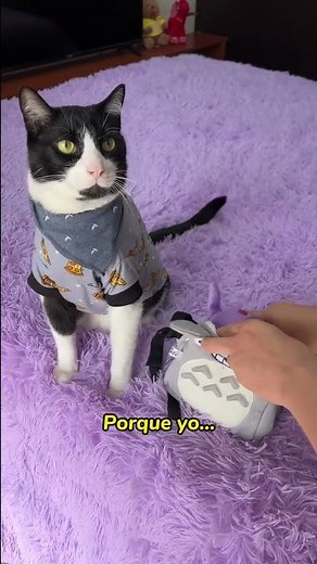 Grandma (dramatized)😹