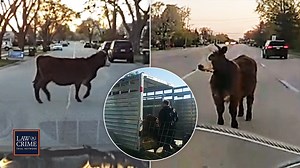 31K views · 268 reactions | On April 27, 2023, a handful of high...