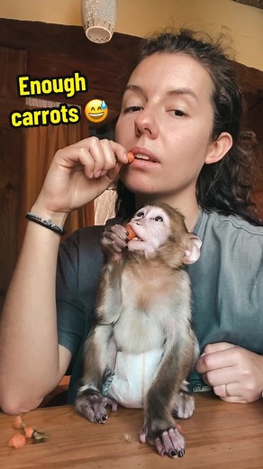 Enough carrots 😅 #Animals #Love