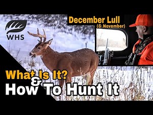 The Dreaded December Lull