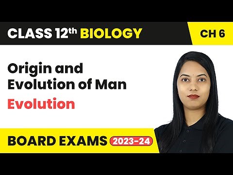 Origin and Evolution of Man - Evolution | Class 12 Biology Chapter 6 | CBSE 2024-25