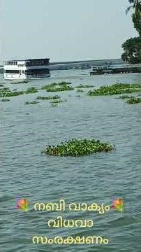#നബി വാക്യം #malayalamhadees #ഹദീസ് #വിധവകൾ