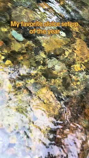 Best sluice set up of the year