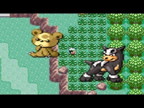How to find Houndour and Teddiursa in Pokemon Emerald