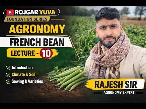 French Bean (राजमा ) Complete Information | Varieties, Uses, Nutrition & Cultivation#farming