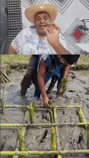 agricultura hay máximo