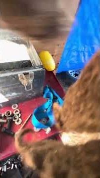 What in the ucf10 Efi is goin on