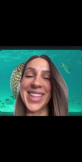 Pufferfish: The Most Poisonous Fish in the Sea