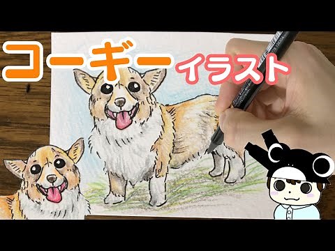 [Illustration of dog] I drew corgi