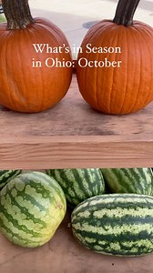 Ohio Magazine on Reels