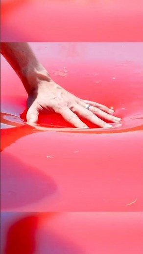 World's Largest Jello Pool