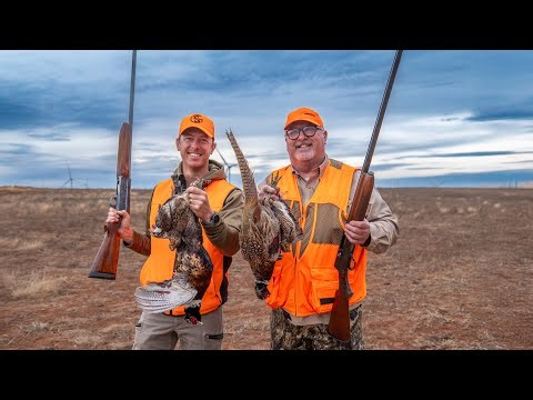 Can These Old Shotguns Still Hunt? Duck Quail & Pheasant Challenge!