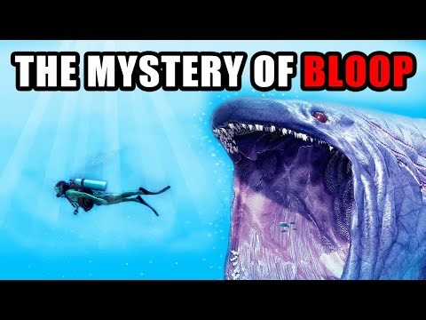 The Bloop | Where It Came From And What Happened to It