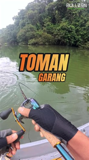 Heart pounding. Rod screaming. Toman fighting like a beast. With CHANNAZ Rod, you’re in control — from the first strike to the final landing. This is how snakehead fishing should feel. 💥