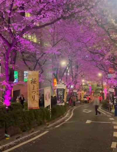 🇯🇵🇰🇷#思い出 #記録#写真好きな人と繋がりたい#風景#カメラ好き #日常の一コマ#일본 #한국 #여행 #일상 #2020 #2021 #2022 #2023 #2024 #2025 #2026