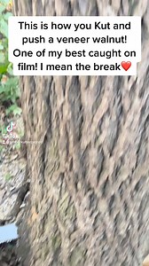 Nice veneer, black walnut! | Timberkutterpatriot