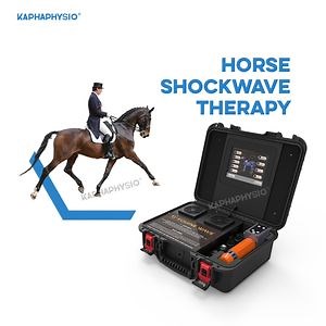 [Hot Item] Advanced Equine Training Electromagnetic Shock Wave Therapy Machine