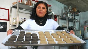 Forests at Work: Jobs Grounded in the Natural Wealth of Countries