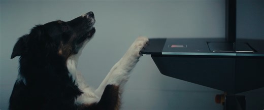 BD-163673 Video BD Rowa Smart_Dog_IT