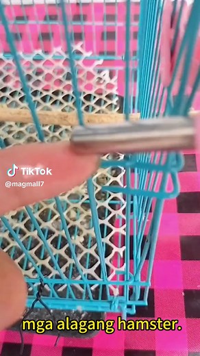 Stay Hydrated, Little Buddies: Best Water Solutions for Hamsters! #SipInStyle