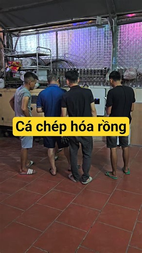 Nâng cấp lên hệ thống Hybrid để tối ưu hiệu suất dàn pin #nangluongmattroi #xuhuongyoutube #solar