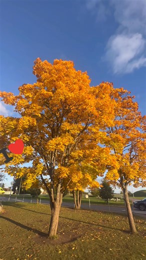 Kes tahab saada miljonäriks, aga kes tahab saada õpetajaks? 😉🤓🤩 | Taili Vahesaar