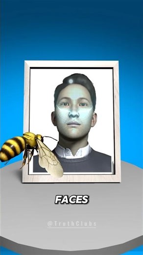 Bees Can See Your Face 😳🐝