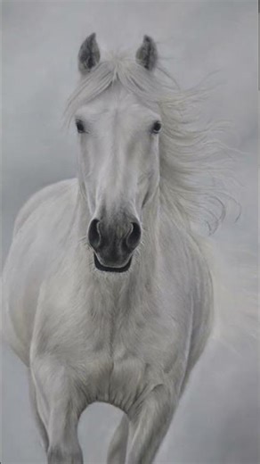 Készülőben - ló pasztell rajz ✍️ #ló #horse #whitehorse #rajzolás #pastel