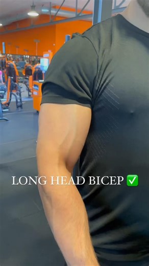 1.1M views · 12K reactions | THE PERFECT BICEP ROUTINE  Save and try this on your next arm workout and share with someone who needs it #fitness #fitnessmotivation #fitnessjourney #fitnessgoals #workoutmotivation #bodybuilding #gym #powerlifting #workout #armworkout #armday #bicep #biceps #bicepworkout | Gym workout chart | Facebook