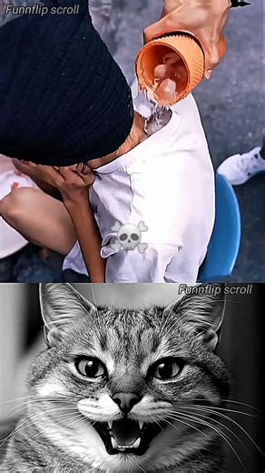 Give me a title in this video #funny #trending #shorts