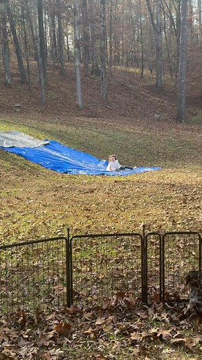 1.2K views · 27 reactions | When Jack and Remi can stop fighting for 10 seconds, they actually create fun! | Lindsey Robertson | Facebook