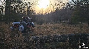 The little Ford 8N pulling big logs | Herschel Macy
