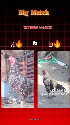 challenge between play mouth and sawa jawa