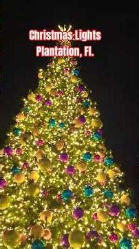 Beautiful lights in Plantation, FL