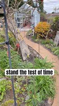 2 Years Later: Is a Sand Path actually a good idea? 🏖️ #GardenDIY #BudgetLandscaping #SandPath