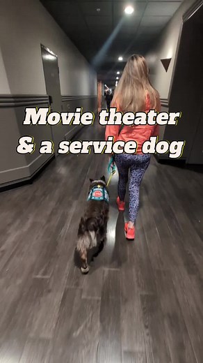 We needed another Bandit takeover! 🥰 I know you guys love videos from his perspective and I love making them for you! #servicedog #assistancedog #movietheater #godzilla #aussiesdoingthings #aussiesofig #dogsofinstagram #dogsperspective #publicaccess #servicedogalert #fyp #dogsdoingthings #fypage