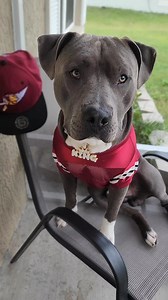 154K views · 1.6K reactions | Go Seminoles FSU (FLORIDA STATE UNIVERSITY) #fsufootball #football #floridastateseminoles | Khing King The Unleashed | Facebook