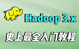 大数据 Hadoop 3.0 从0到精通详解教程，2021年最新升级/部署+源码+实战