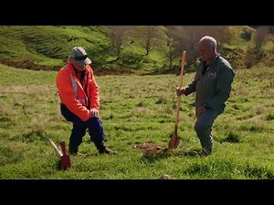 Rabbit Control: Rabbit Fumigation