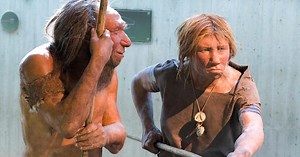 Warum moderne Menschen so anders aussehen als Neandertaler