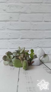 33K views · 249 reactions | Errores más comunes al enraizar un...